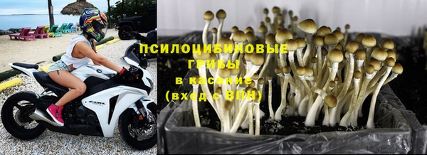 соль курить ск Баксан