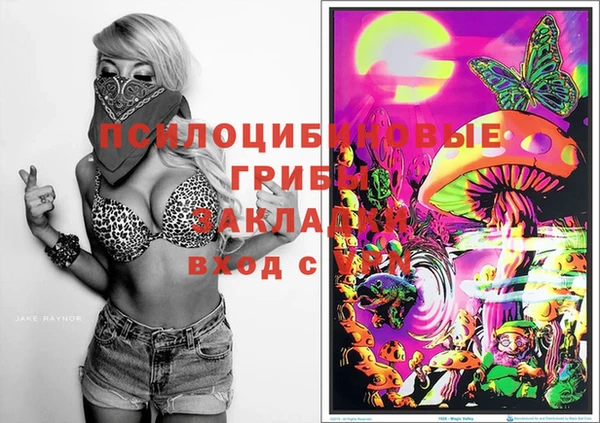 ГАЛЛЮЦИНОГЕННЫЕ ГРИБЫ Балабаново