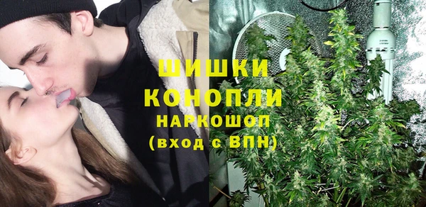 ГАЛЛЮЦИНОГЕННЫЕ ГРИБЫ Балабаново