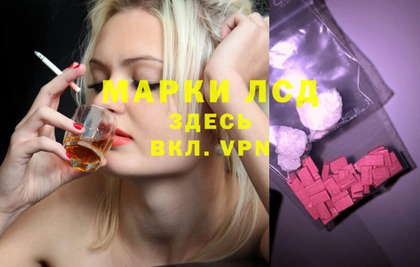 ГАЛЛЮЦИНОГЕННЫЕ ГРИБЫ Балабаново
