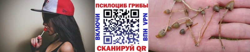 Псилоцибиновые грибы ЛСД  Купить закладки  Мензелинск 